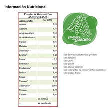 Cargar imagen en el visor de la galería, Proteína De Guisante Ecológica